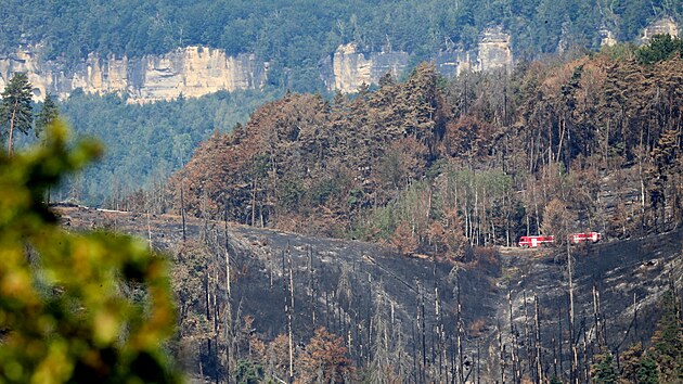 Výhled na požár Národního parku České Švýcarsko z janovské rozhledny. Lze vidět rozsáhle požářiště mezi Hřenskem a Vysokou Lípou. (6. srpna 2022)