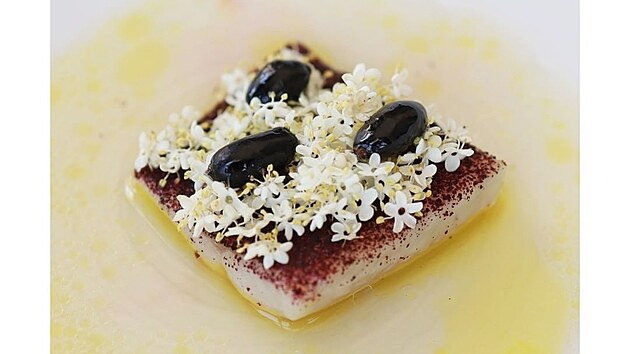 Pstruh, bez, borůvka. (17. června 2022)