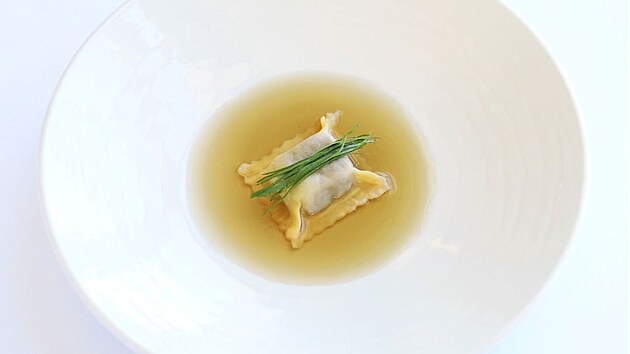 Hovězí oháňka a libeček. (12. července 2022)