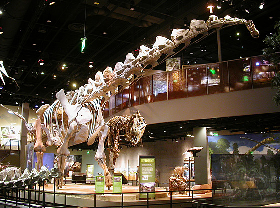 Bruhathkayosaurus byl jedním z posledních ijících titanosaurních sauropod,...