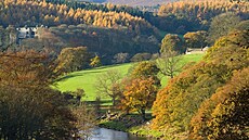 Autumn (fall) colours in Strid Wood, Bolton Abbey, North Yorkshire, England,