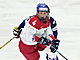esk hokejistka Daniela Pejov v zpase s Finskem