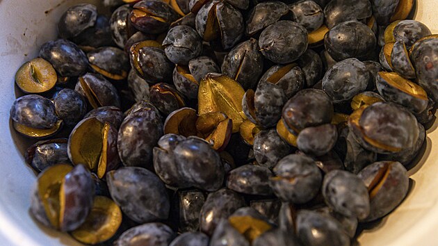 V Dolním Němčí se už po dvaadvacáté konala akce Vaření trnek. (3. září 2022)