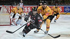 David Vitouch (42) ze Sparty v souboji s Jonasem Berglundem v zápase hokejové...