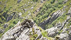 Rakouský horský myslivec s útonou pukou Steyr AUG
