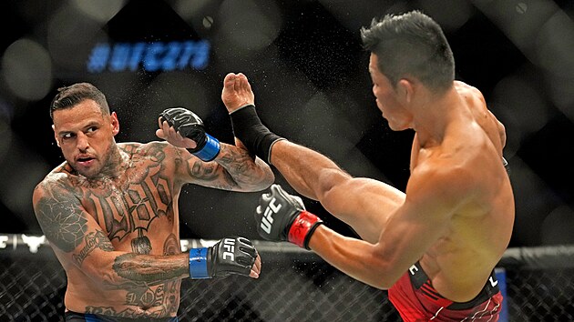 MMA zpasnk Daniel Rodriguez kryje kop Li ing-lianga v kleci UFC.