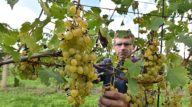 &Scaron;lechtitelsk&aacute; stanice vinařsk&aacute; v Pole&scaron;ovic&iacute;ch (z&aacute;ř&iacute; 2022)