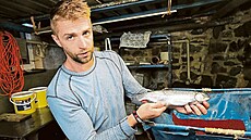 Naše ryby: Na Kružberské pstruží farmě působí dva Ivo Jedličkové. Otec (v... Naše ryby: Na Kružberské pstruží farmě působí dva Ivo Jedličkové. Otec (v...