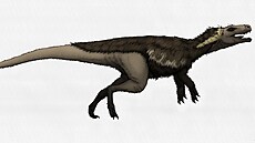Výtvarná rekonstrukce přibližného vzezření herrerasaurida druhu Gnathovorax... Výtvarná rekonstrukce přibližného vzezření herrerasaurida druhu Gnathovorax...