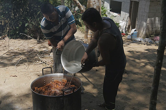 Píprava nápoje ayahuasca v Peru