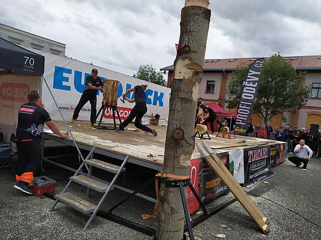 <p>V holešovické tržnici se v sobotu koná Chilli fest. Součástí je i dřevorubecká show. </p>