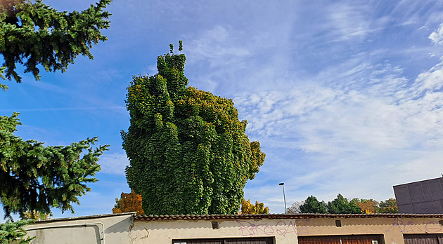 <p>Příroda čaruje.</p>