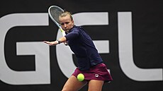 Barbora Krejčíková v ostravském čtvrtfinále s Alycií Parksovou. Barbora Krejčíková v ostravském čtvrtfinále s Alycií Parksovou.