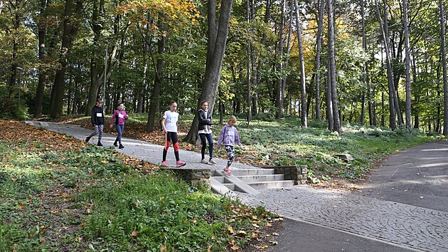 Litoměřická Mostná hora