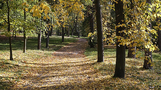 Litoměřická Mostná hora