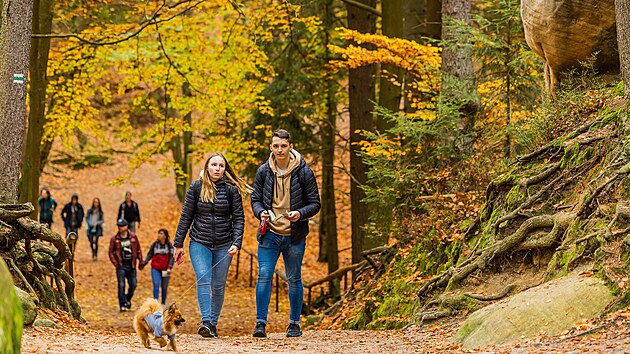 Na internetových stránkách Adršpašských skal můžete využít online nákup vstupenek.