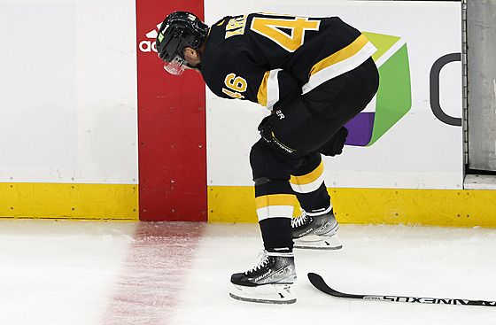 David Krejí z Boston Bruins se drí za bolavou ruku.