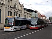 Slow tram number 9