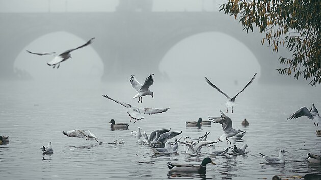 Podzimní počasí v okolí Karlova mostu v Praze. (27. října 2022)