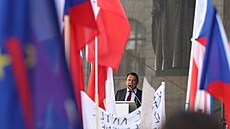 Jií Paroubek na demonstraci za odvolání vlády premiéra Petra Fialy. (28. íjna...