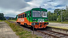 Motorový vz 810.543 spolenosti GW Train Regio ve stanici Sdzisaw