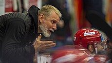 Trenér Hradce Králové Tomáš Martinec Trenér Hradce Králové Tomáš Martinec