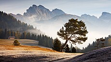 Fotograf Martin Rak ví, jak fotit pírodu i domácí mazlíky tak, aby byly...