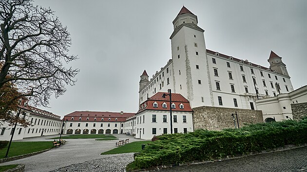 Bratislavský hrad je soubor staveb v historickém areálu, který zabírá vrchol návrší na jihozápadním ostrohu malokarpatského hřebenu na levém břehu Dunaje v Bratislavě.
