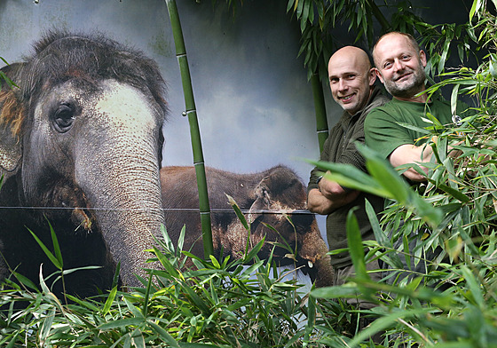 O slony se v ústecké zoologické zahrad staral tým tí chovatel, dva z nich...