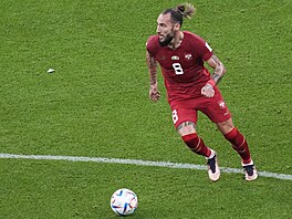 Nemanja Gudelj