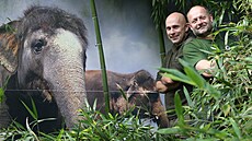 O slony se v ústecké zoologické zahrad staral tým tí chovatel, dva z nich...