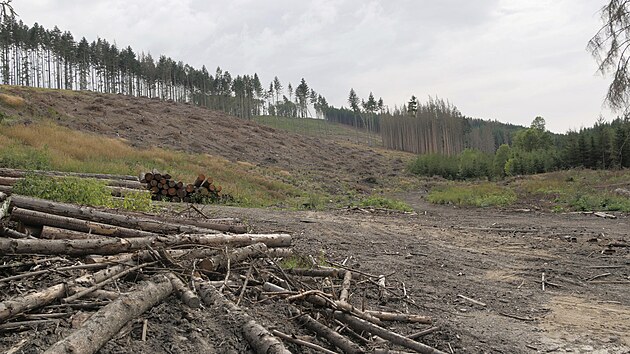 Intenzivn tba zmnila rz krajiny teba pod rozhlednou Horn les u Rovenho na Bysticku.