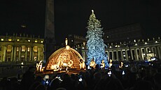 Vánoní stromek na námstí ve Vatikánu (3. prosince 2022)
