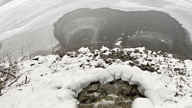 Voda, která proudí od září do Velkého Boleveckého rybníka v Plzni z Berounky, už začala zvedat hladinu vysychající oblíbené rekreační nádrže. (14. 12. 2022)