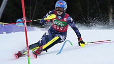 Americká lyaka Mikaela Shiffrinová na trati slalomu v Semmeringu.