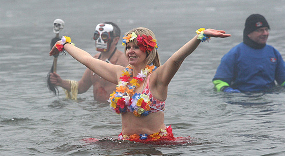 Perovské plavání otuilc v Bev patí k tradiním akcím pelomu roku.