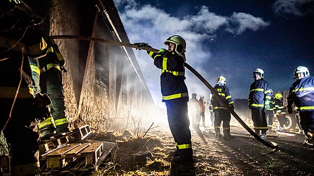 Hasiči nemohli dovnitř a zasahovali skrz okna. Požár kravína u Zlaté Olešnice na Trutnovsku. (5. 1. 2023)