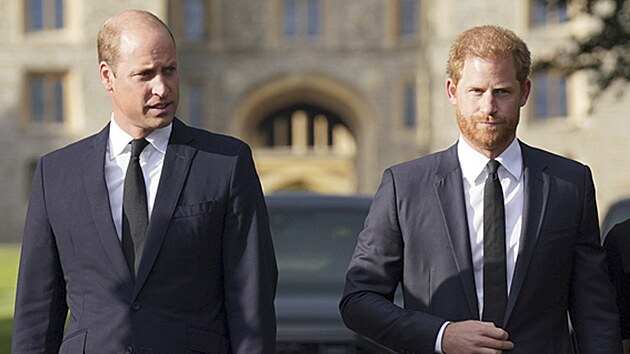 Princ William a princ Harry (Windsor, 10. z 2022)