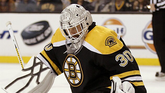 VE STEHU. Tim Thomas, glman Bostonu, bhem zpasu s Washingtonem