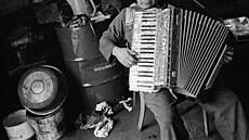 Podivný případ se točil kolem zmizelé harmoniky. Podivný případ se točil kolem zmizelé harmoniky.