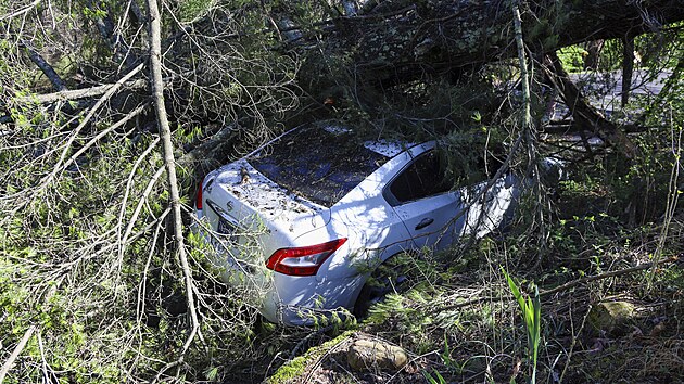 Auto pod spadanmi stromy po boukch v americkm Tennessee (3. bezna 2023)