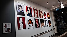 Exponáty výstavy Femina / Portrét eny, která je k vidní v prostorách kavárny...