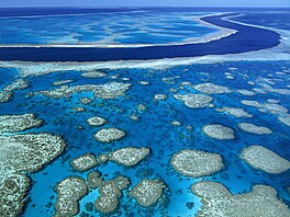 - (PICTURED: The great barrier reef) - A luxury trip has been tailored for...
