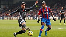 Ayoze Pérez (vlevo) z Leicesteru hraje balon, brání jej Patrick van Aanholt z...