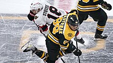 David Pastrák (88) z Boston Bruins padá, podrazil ho Tim Stützle (18) z Ottawa...