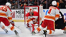 Dan Vladař v bráně Calgary Flames v zápase s Anaheim Ducks Dan Vladař v bráně Calgary Flames v zápase s Anaheim Ducks