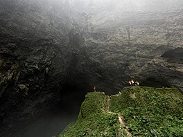 Dalí jeskynní dolinou je Zahrada Edam. Pyní se pralesem rostoucím 200 metr...