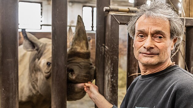 Ošetřovatel Jan Žďárek se v dvorském safari parku stará o nosorožce přes třicet let. (10. března 2023)