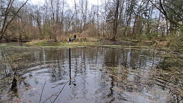 V tůních v okolí CHKO Litovelské Pomoraví instalovali vědci speciální senzory, které upozorní samosprávy měst a obcí v okolí na přemnožené komáry a na nutnost aplikovat hubicí postřiky na komáří larvy.