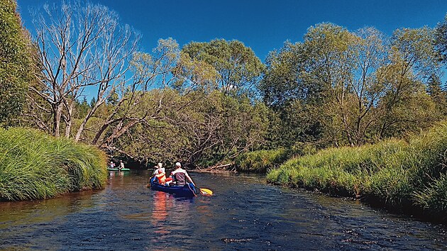 Vodáky čeká plavba divokou přírodou.